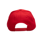 ST. GEORGE DRAGONS NRL STADIUM CAP