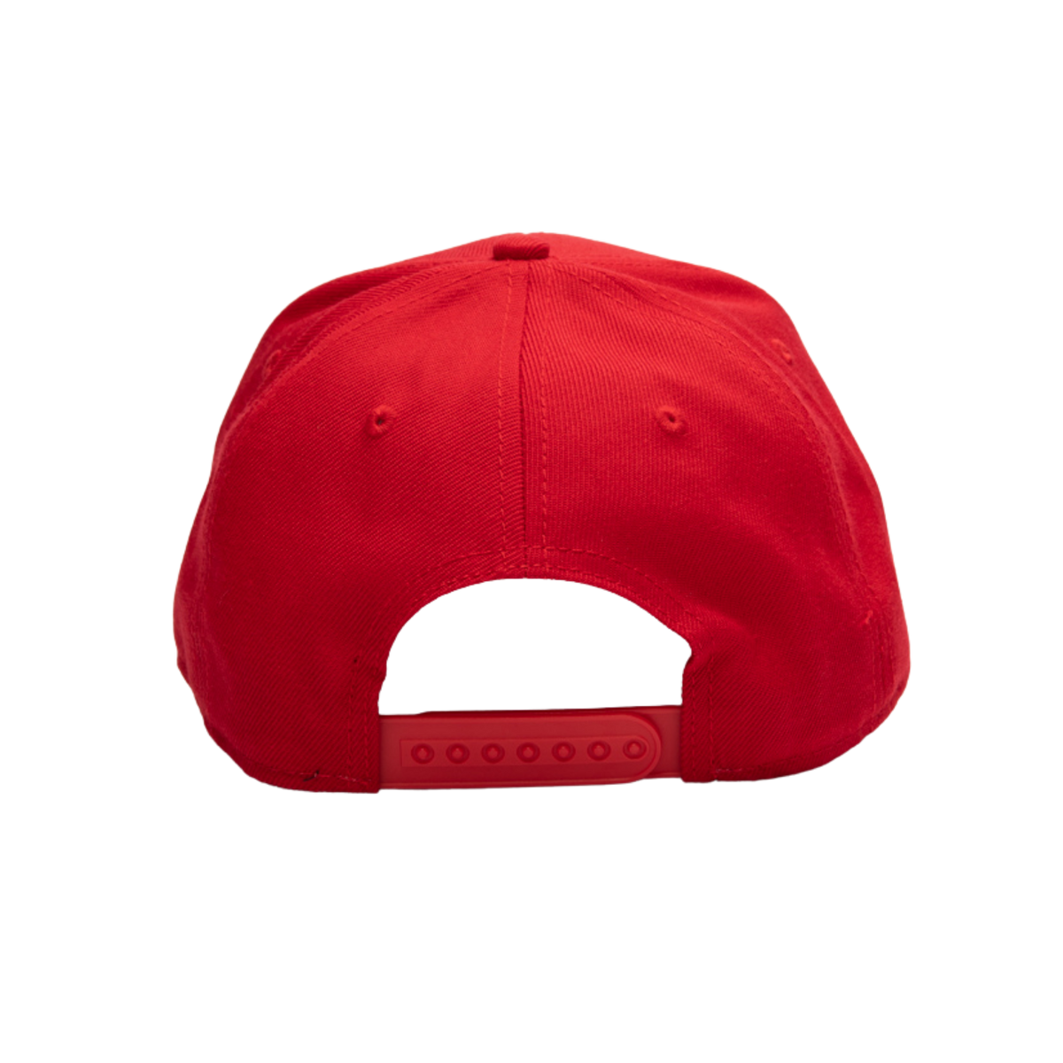 ST. GEORGE DRAGONS NRL STADIUM CAP