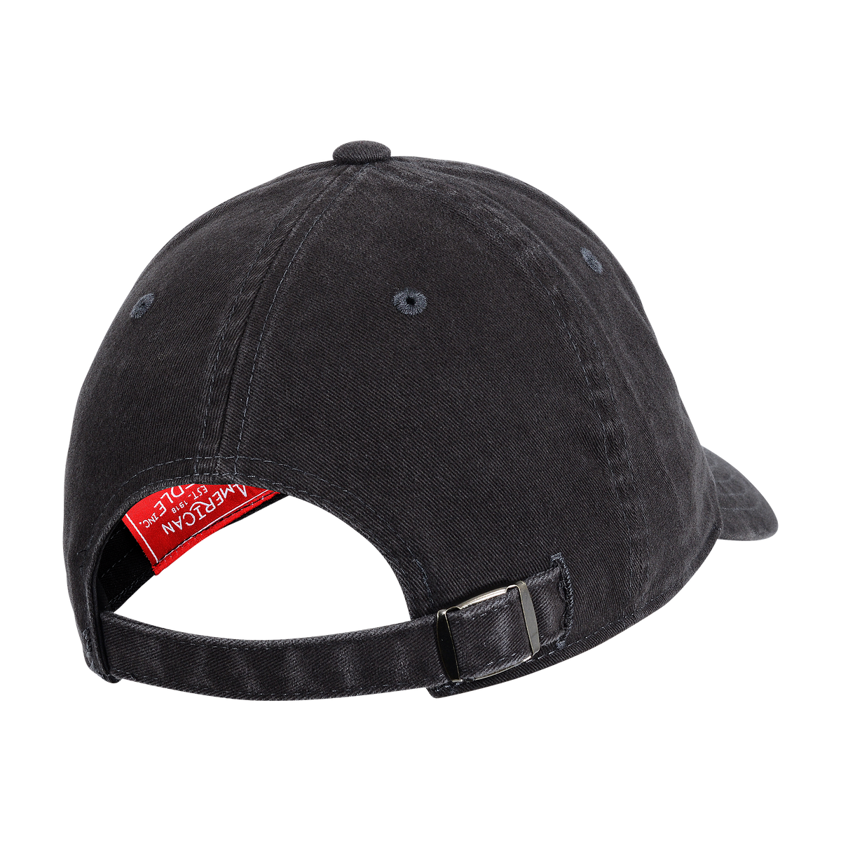 NASA BLACK RAGLAN HAT